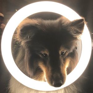 Meet your Posher, Jane